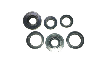 набор сальников Минск (6 шт)